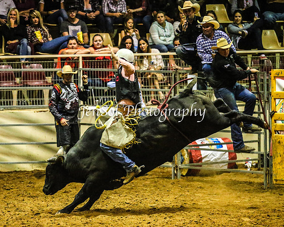 RealDealRodeoFeb2014_1674
