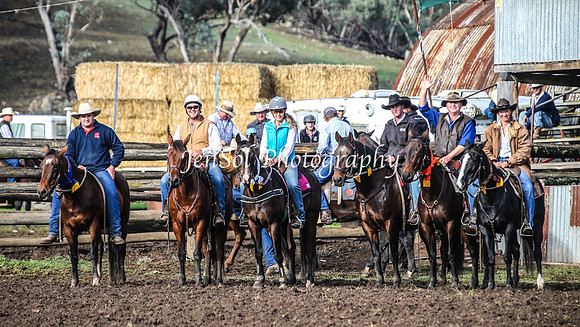 CabanandraCampdraft2014_1024