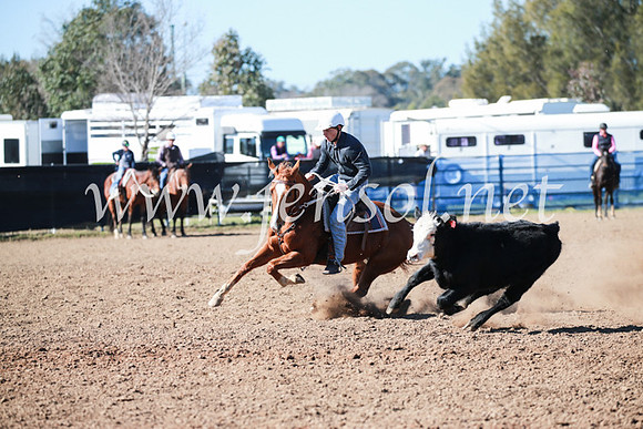 CCCampdraft2016_5300