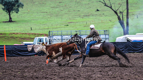 CabanandraCampdraft2014_1553