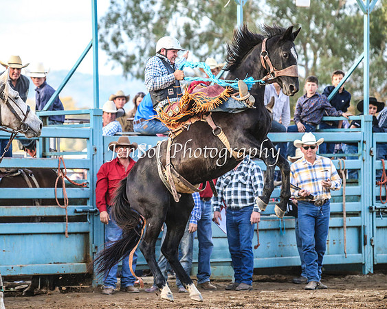 TumutRodeo2014_3618