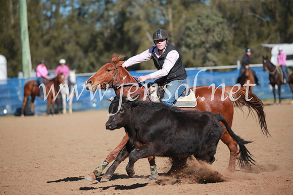 CCCampdraft2016_6218