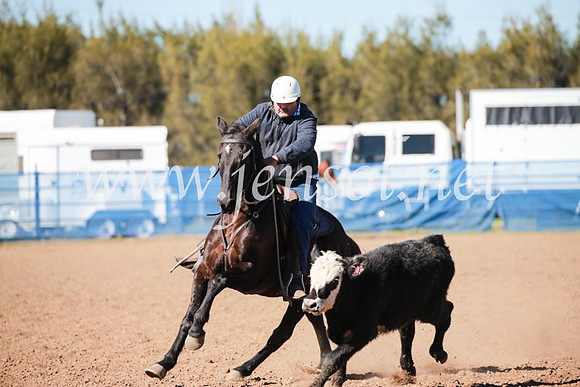 CCCampdraft2016_5344