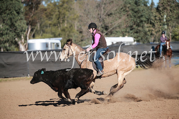 CCCampdraft2016_6504