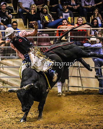 RealDealRodeoFeb2014_1676