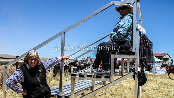 AdaminabyCampdraft2015_0818