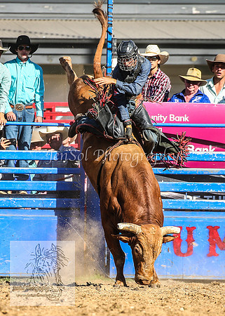 TumbarumbaRodeoNYD2025_1802