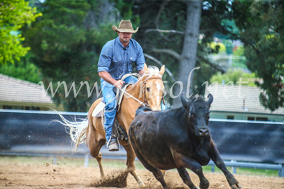 OrangeCampdraft2017_5759