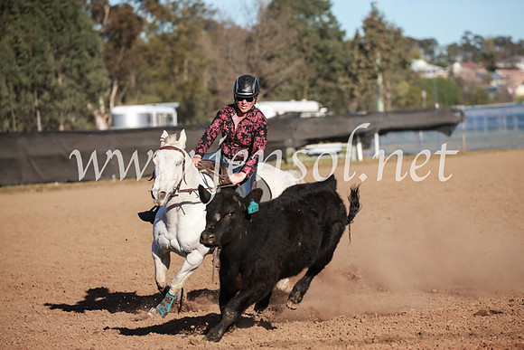 CCCampdraft2016_6554