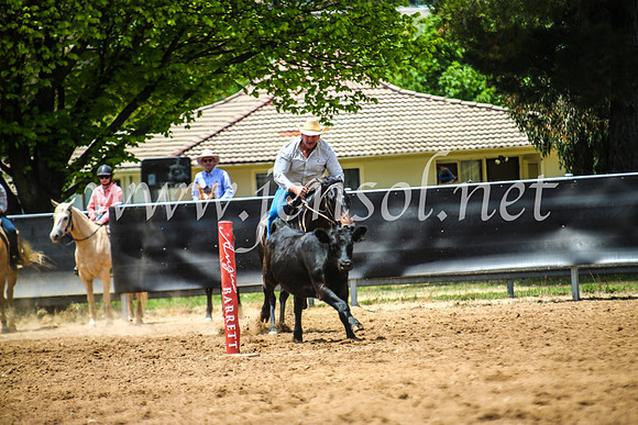 OrangeCampdraft2017_5111