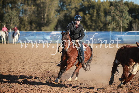 CCCampdraft2016_6782