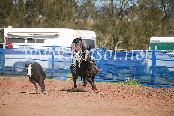 CCCampdraft2016_5710