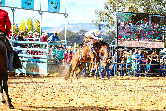 TumutRodeo2017_1724