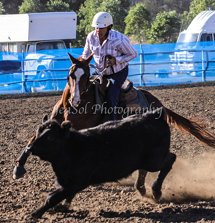IMG_0187CCCSun