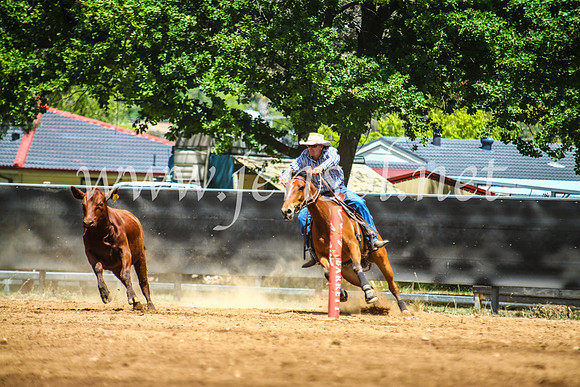 OrangeCampdraft2017_5610