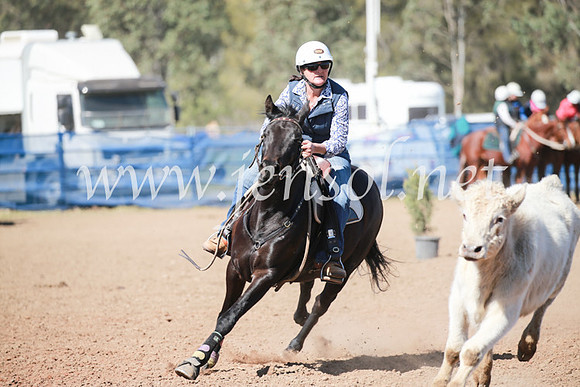 CCCampdraft2016_6064