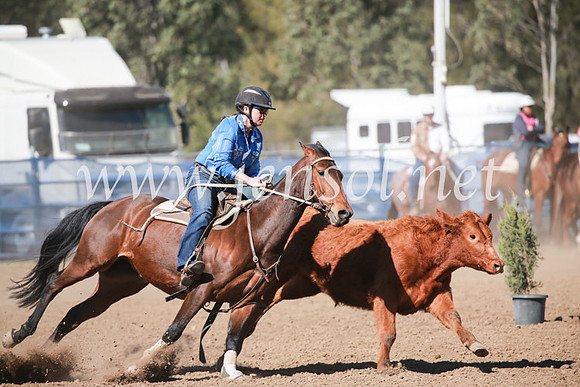 CCCampdraft2016_6141