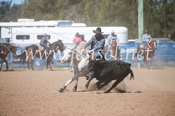 CCCampdraft2016_5915
