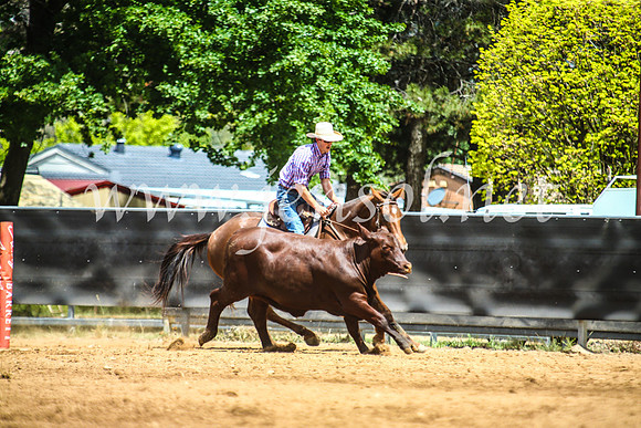 OrangeCampdraft2017_5653