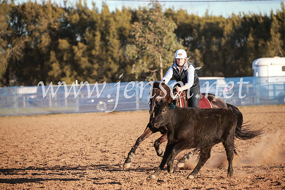 CCCampdraft2016_6904