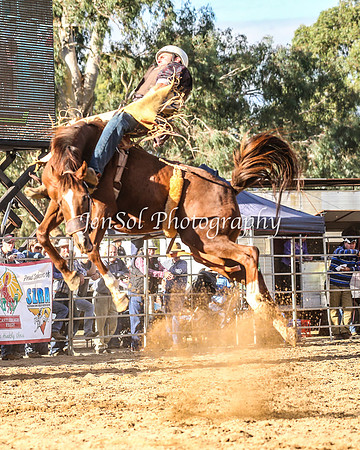 TumutRodeo2014_3003