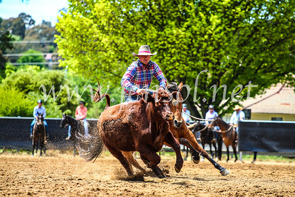 OrangeCampdraft2017_4786
