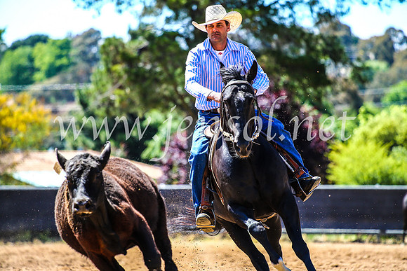 OrangeCampdraft2017_4508