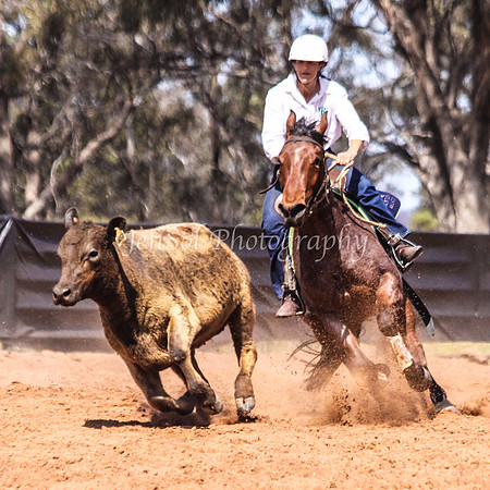 Wwyalong0630