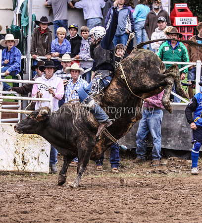 Cooma1_0832