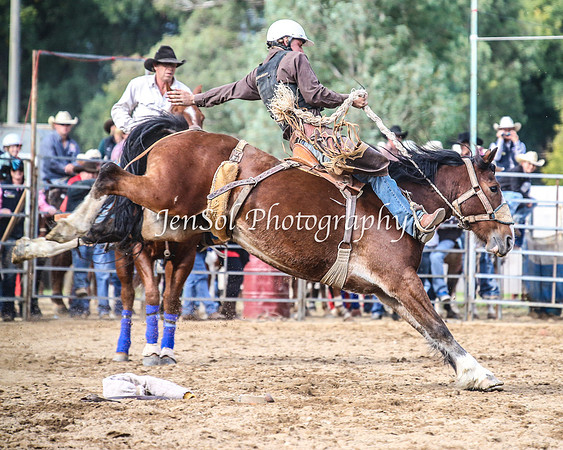 TumutRodeo2014_2378