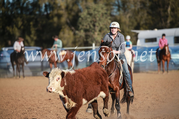 CCCampdraft2016_6700