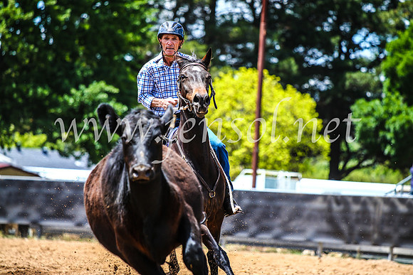 OrangeCampdraft2017_4893
