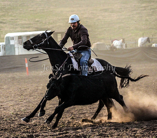 IMG_0006CabSat