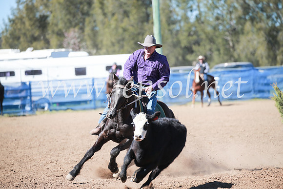CCCampdraft2016_5532