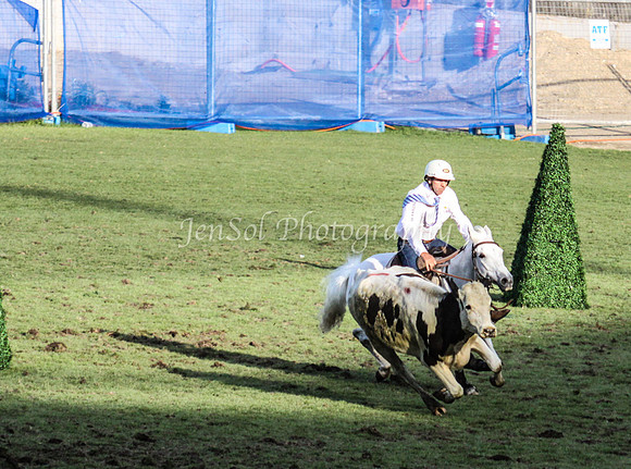 EquitanaSat_1192