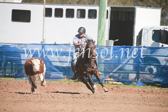 CCCampdraft2016_5832