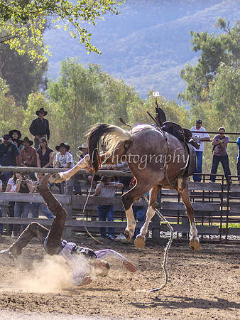 Corryong09 384