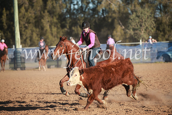 CCCampdraft2016_6855