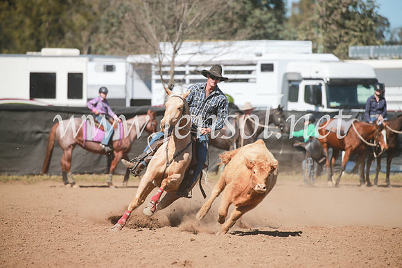 CCCampdraft2016_6056