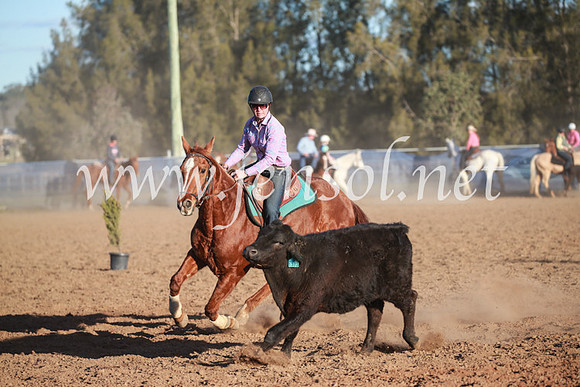 CCCampdraft2016_6798