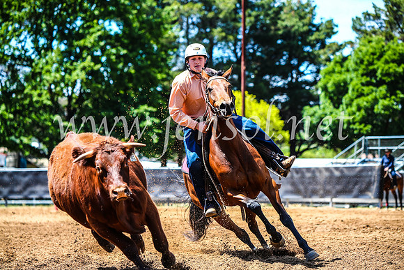 OrangeCampdraft2017_4584