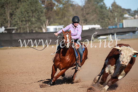CCCampdraft2016_6454