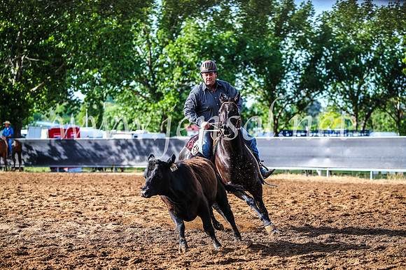 OrangeCampdraft2017_3805