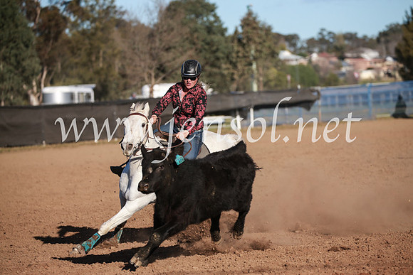 CCCampdraft2016_6553