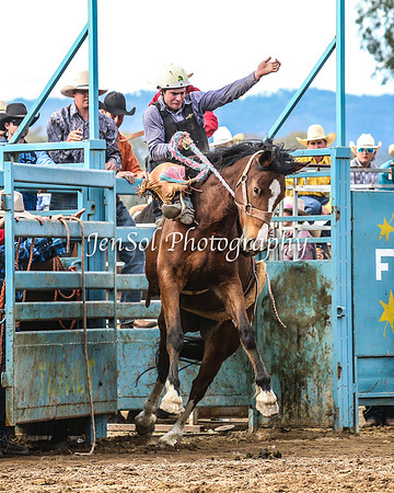 TumutRodeo2014_2477