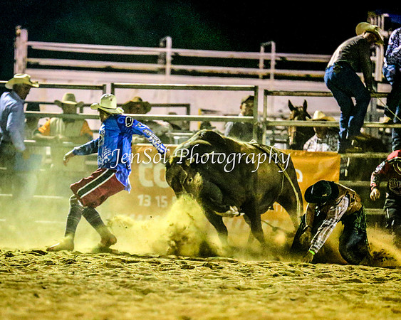 ForbesRodeo2014_4253