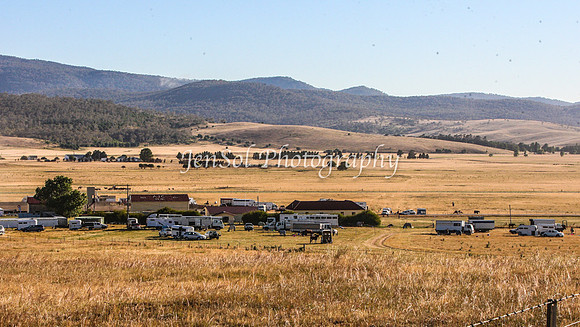 AdaminabyCampdraft2015_0003