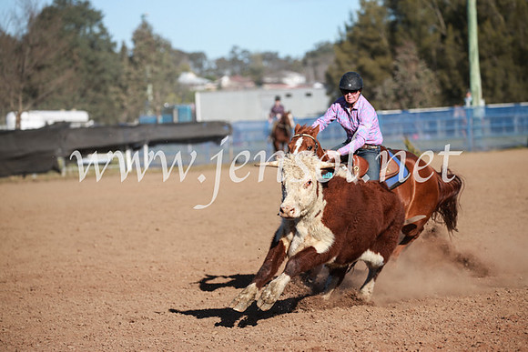 CCCampdraft2016_6461
