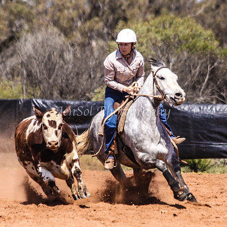 Wwyalong0599