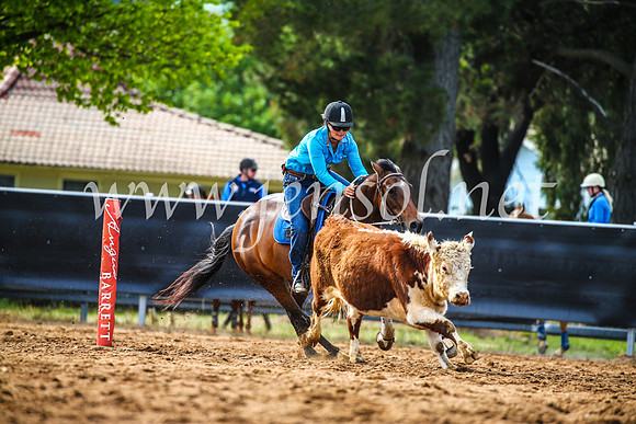 OrangeCampdraft2017_4023